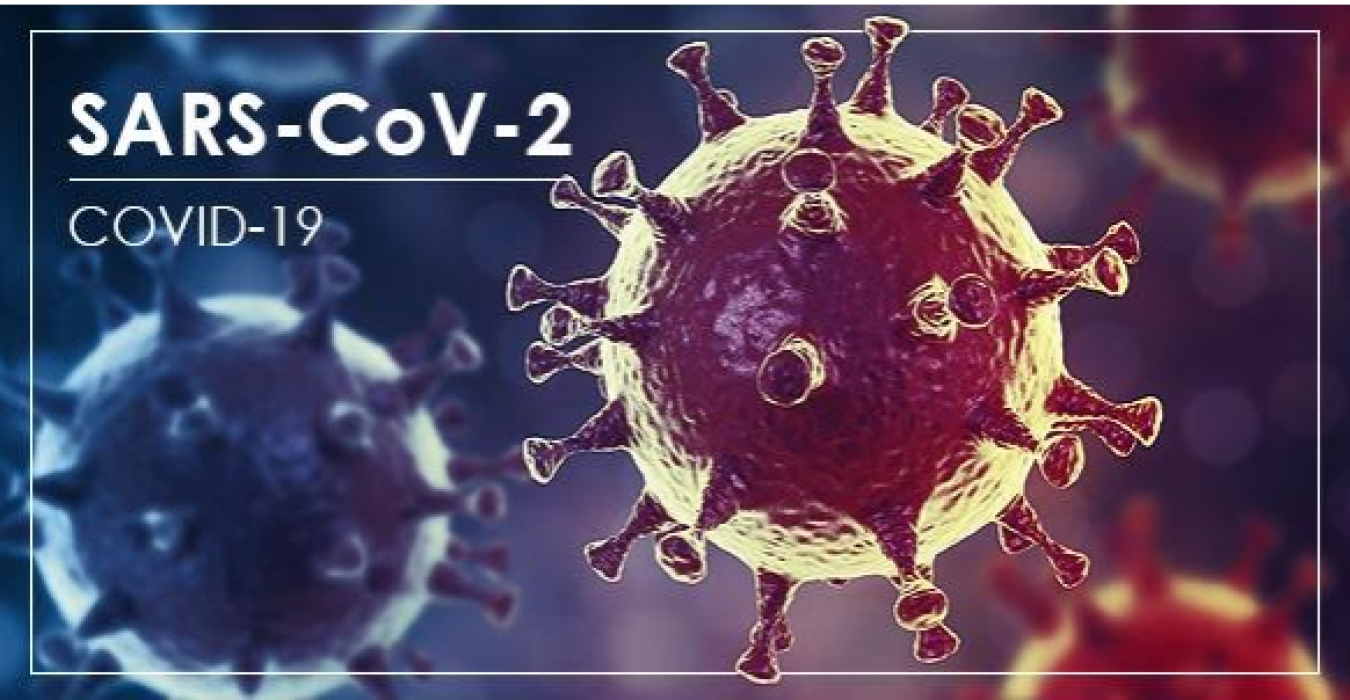 COVID-19 và một số bài báo đóng góp về data của Việt Nam COVID-19 và một số bài báo đóng góp về data của Việt Nam