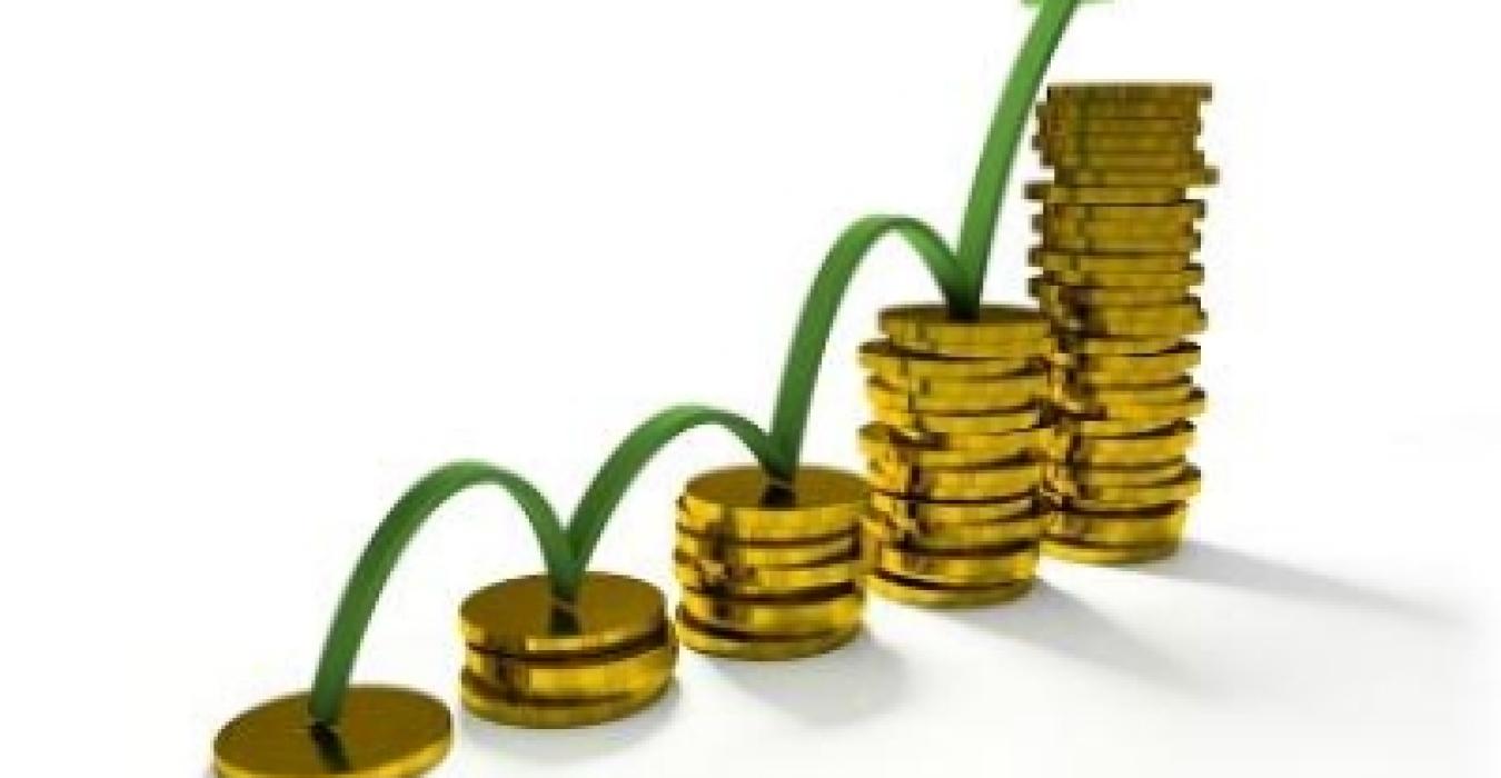Determinants of Vietnamese Listed Firm Performance: Competition, Wage, CEO, Firm Size, Age, and International Trade Determinants of Vietnamese Listed Firm Performance: Competition, Wage, CEO, Firm Size, Age, and International Trade